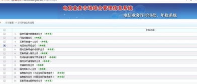 理解ICP經(jīng)營性許可證中的互聯(lián)網(wǎng)信息服務(wù)選項(xiàng)